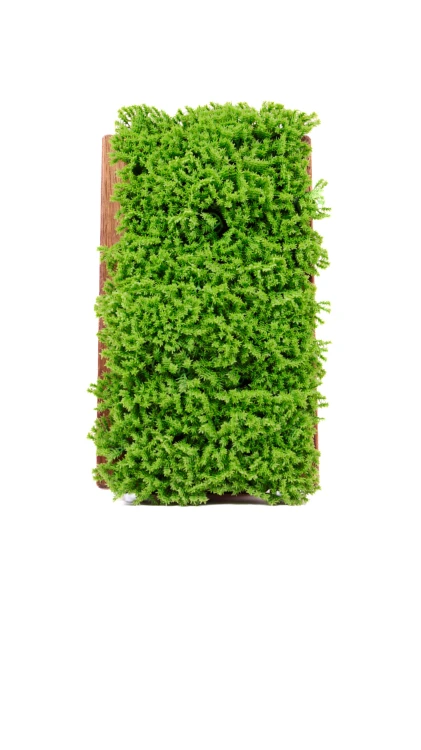8.png
